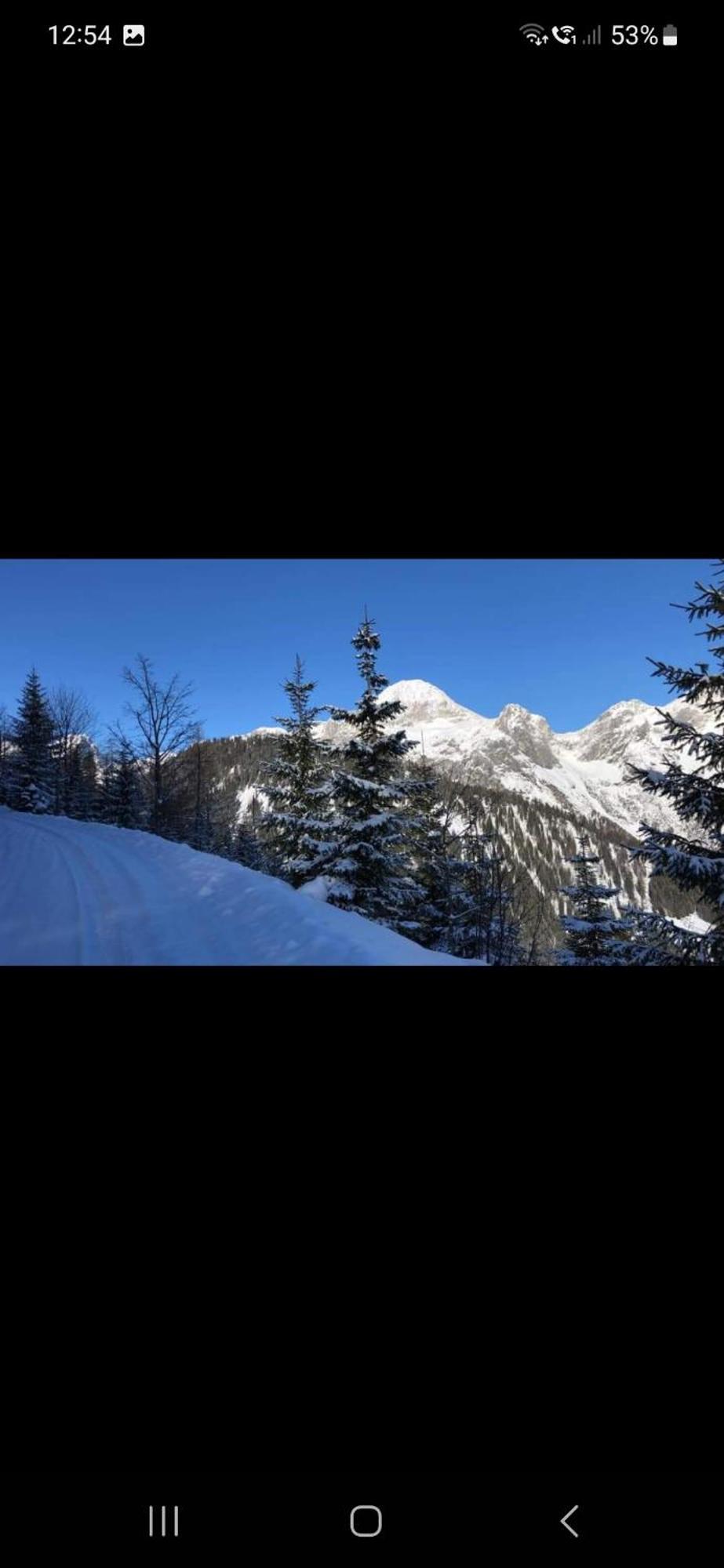 Bergliebe Apartment Sankt Martin am Tennengebirge Bagian luar foto