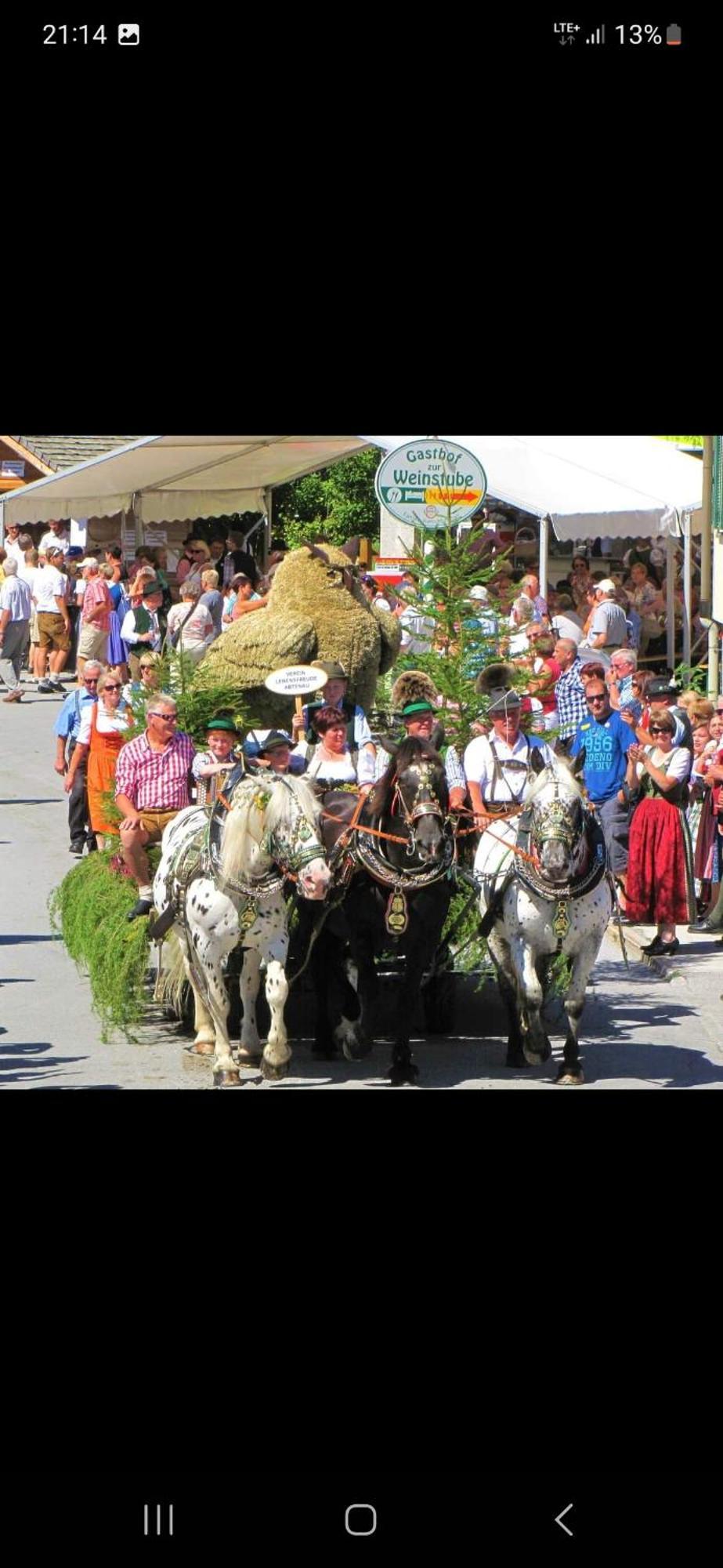 Bergliebe Apartment Sankt Martin am Tennengebirge Bagian luar foto